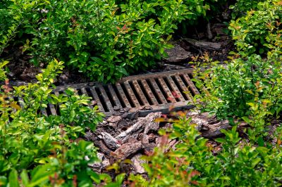 Prevent Flooding in Your Backyard!